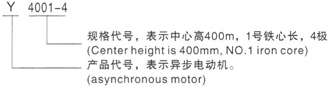 西安泰富西玛Y系列(H355-1000)高压YRKK7101-4三相异步电机型号说明