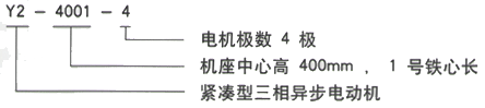 YR系列(H355-1000)高压YRKK7101-4三相异步电机西安西玛电机型号说明